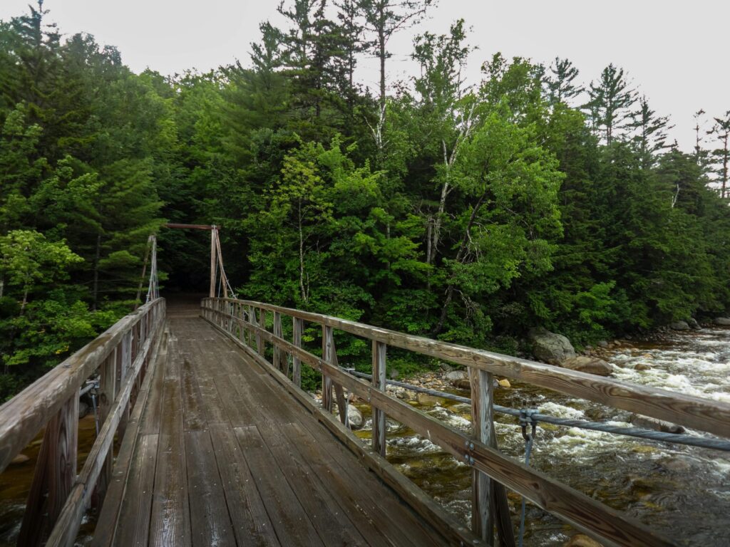 A scenic suspension bridge crossing a flowing river in the lush Milford forest, perfect for outdoor adventure.